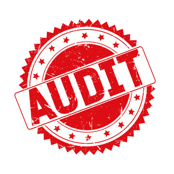 Customer Audit